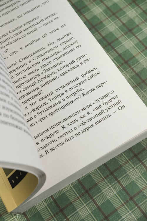 Дополнительное изображение книги «Найденыш»