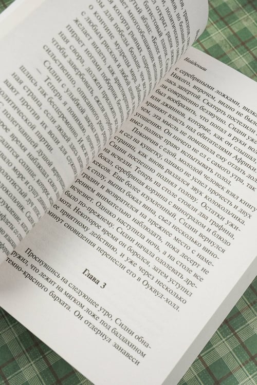 Дополнительное изображение книги «Найденыш»