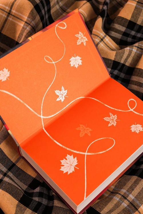 Дополнительное изображение книги «Давай прогуляем пары»
