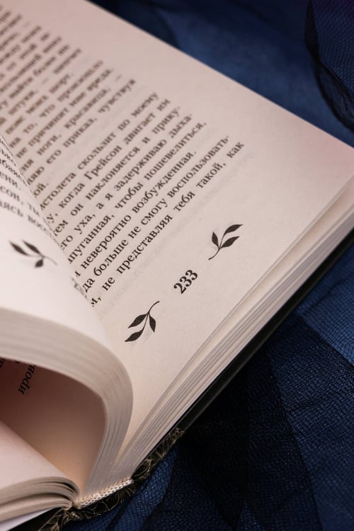 Дополнительное изображение книги «Взрываться»