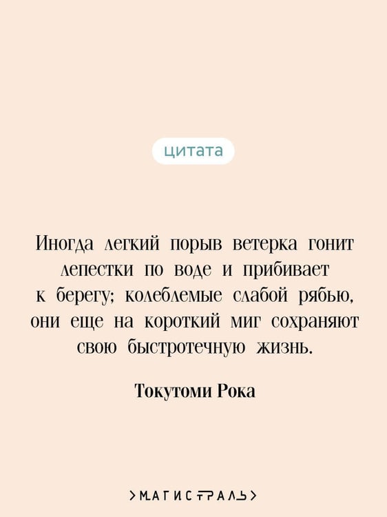 Дополнительное изображение книги «Куросиво»