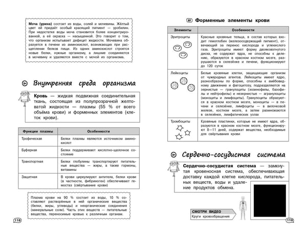 Дополнительное изображение книги «Биология (+ обучающие видео)»