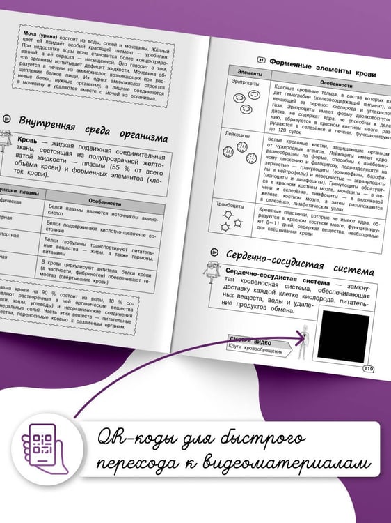 Дополнительное изображение книги «Биология (+ обучающие видео)»