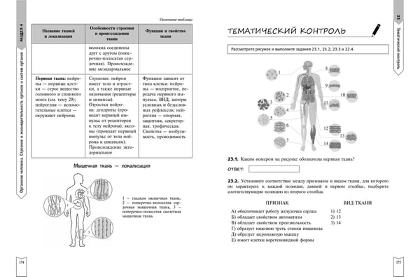 Дополнительное изображение книги «Биология»