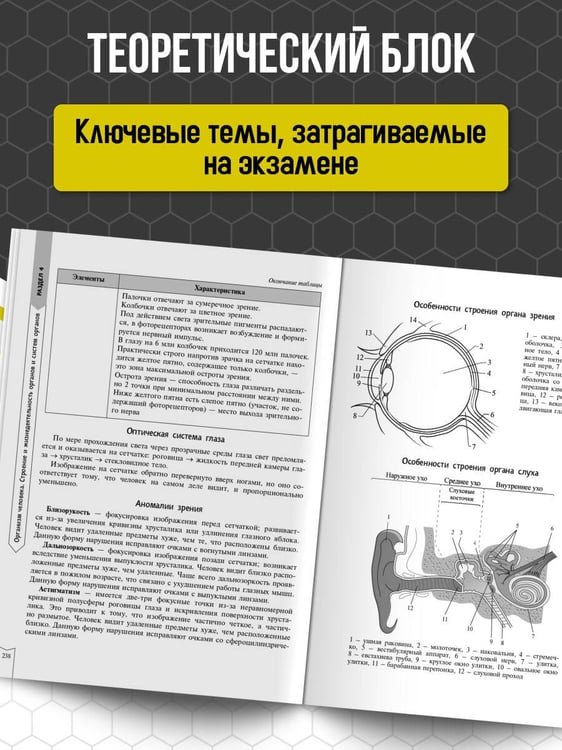 Дополнительное изображение книги «Биология»