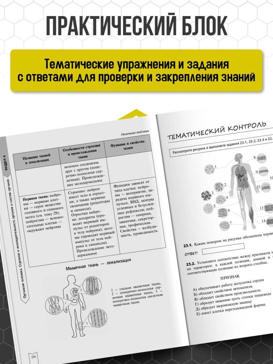 Дополнительное изображение книги «Биология»