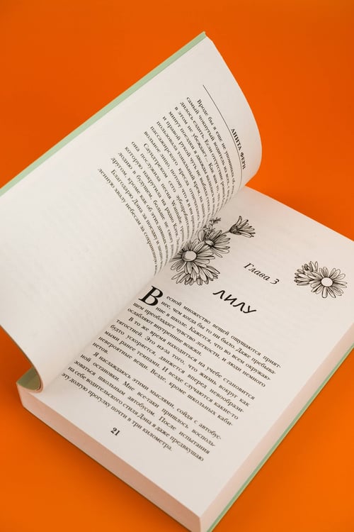 Дополнительное изображение книги «Глиняные сердца»