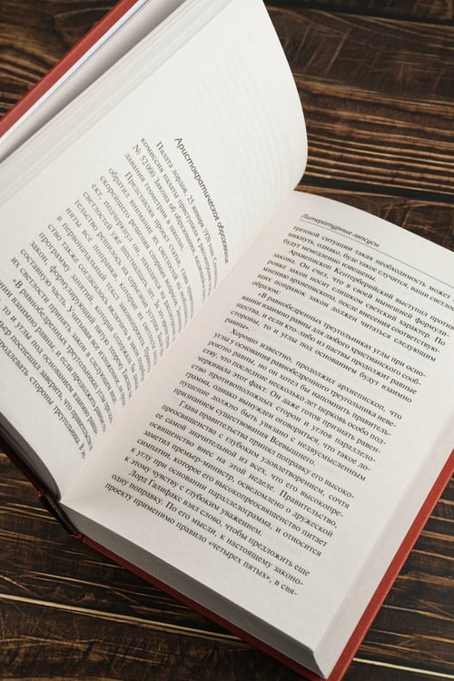 Дополнительное изображение книги «Безумная беллетристика»
