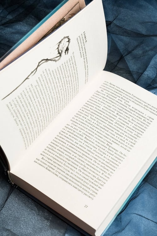 Дополнительное изображение книги «Залесье»