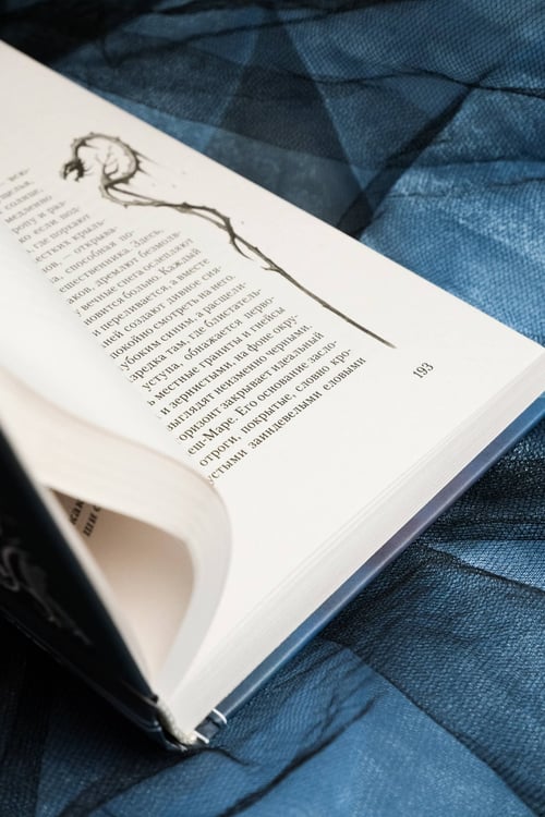 Дополнительное изображение книги «Залесье»