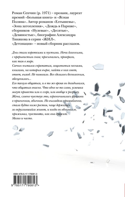 Дополнительное изображение книги «Детонация»