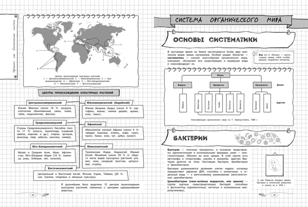 Дополнительное изображение книги «Биология»