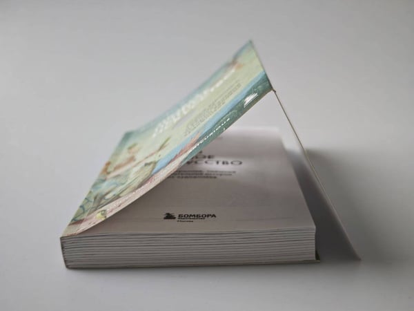 Дополнительное изображение книги «Любопытное искусство. Самые странные, смешные и увлекательные истории великих художников»