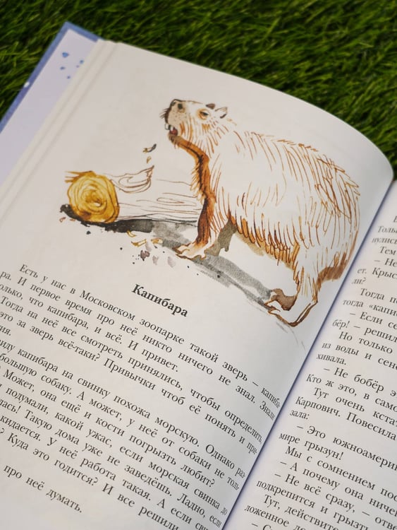 Дополнительное изображение книги «Не кормить и не дразнить! Рисунки В. Цепиловой»