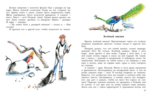 Дополнительное изображение книги «Не кормить и не дразнить! Рисунки В. Цепиловой»
