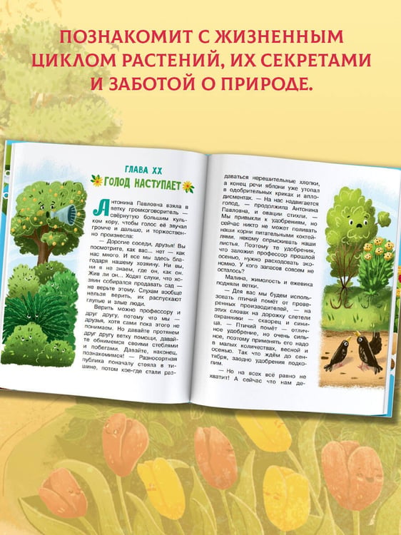 Дополнительное изображение книги «Тайна покинутого сада»