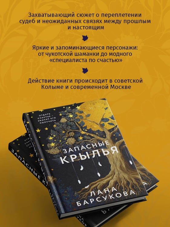 Дополнительное изображение книги «Запасные крылья»
