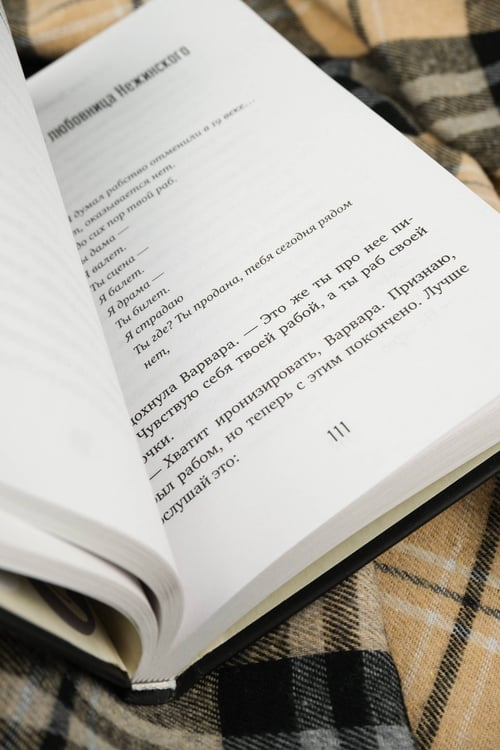 Дополнительное изображение книги «Путешествие на ночь глядя»
