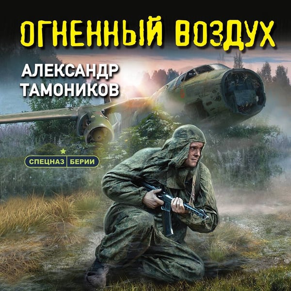 Дополнительное изображение книги «Огненный воздух»