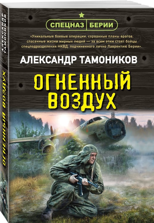 Дополнительное изображение книги «Огненный воздух»