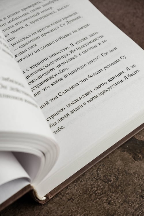 Дополнительное изображение книги «Повесть грядущих лет»
