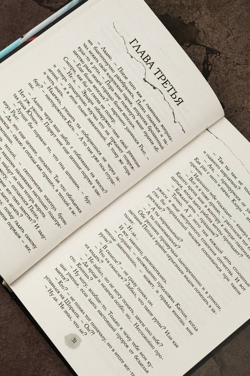 Дополнительное изображение книги «В пепел. Шпион»