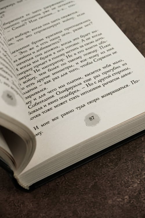 Дополнительное изображение книги «В пепел. Шпион»