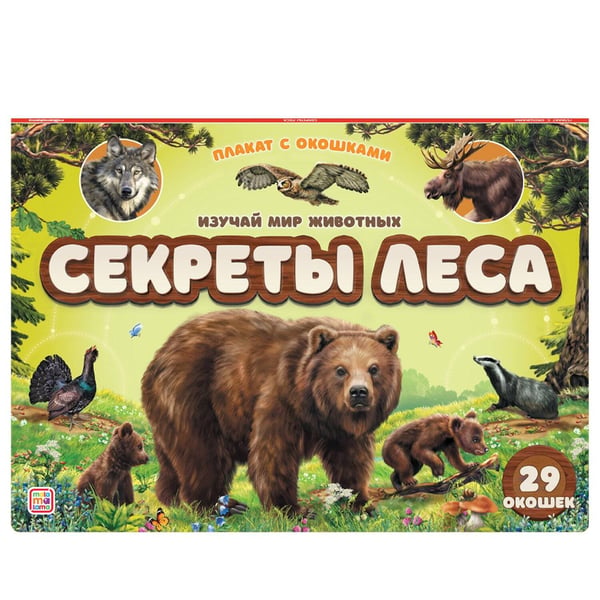 Обложка книги «Плакат с окошками. Секреты леса», ISBN 9785001348207