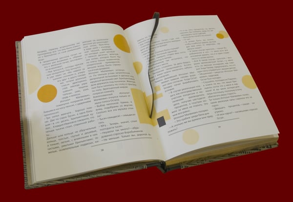 Дополнительное изображение книги «Двенадцать стульев»