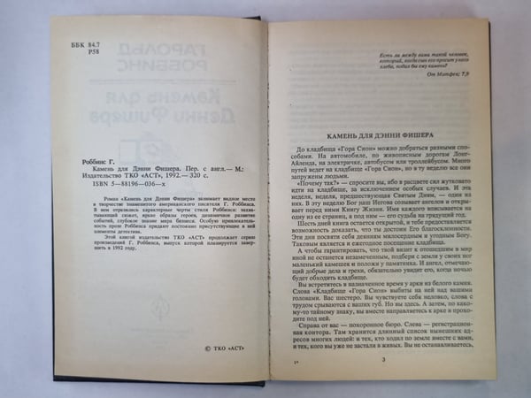 Дополнительное изображение книги «Камень для Дэнни Фишера»