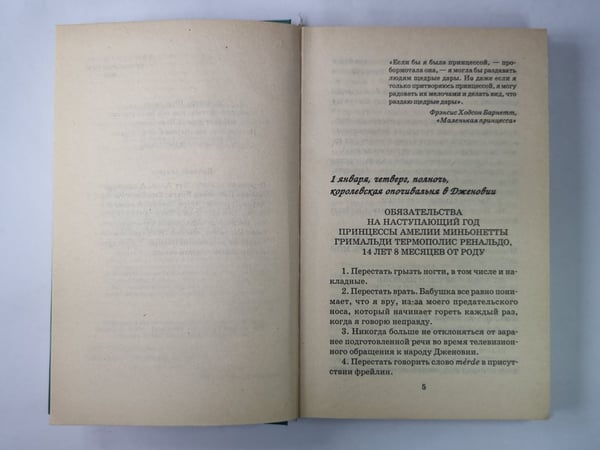 Дополнительное изображение книги «Принцесса ждет»