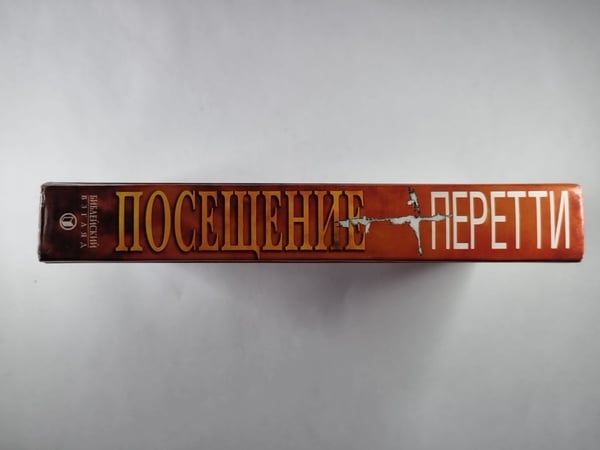 Дополнительное изображение книги «Посещение»