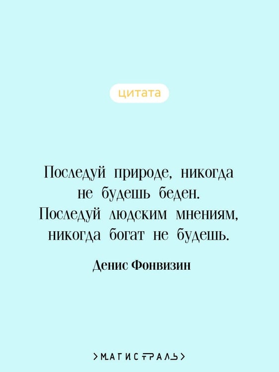 Дополнительное изображение книги «Недоросль»