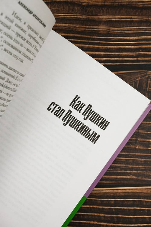 Дополнительное изображение книги «Короче, Пушкин»