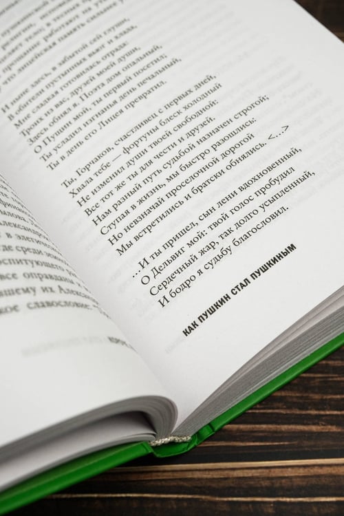Дополнительное изображение книги «Короче, Пушкин»