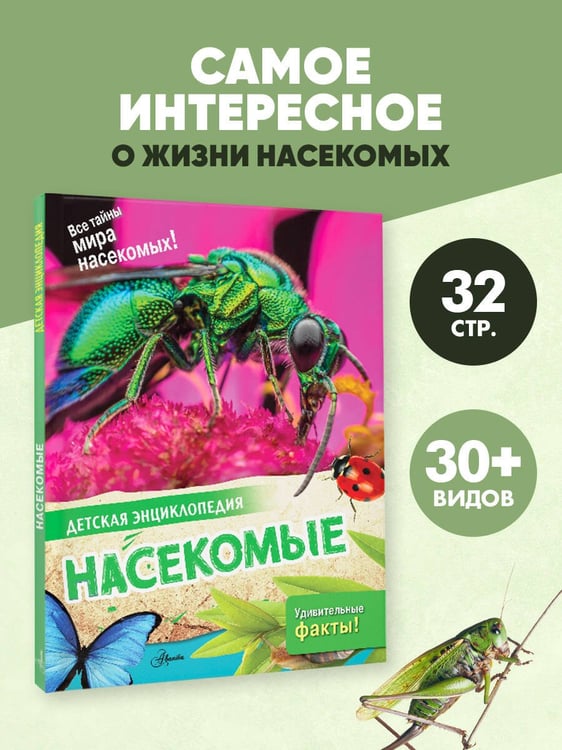 Дополнительное изображение книги «Насекомые»