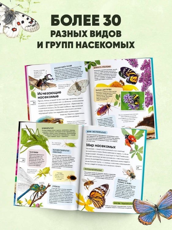 Дополнительное изображение книги «Насекомые»