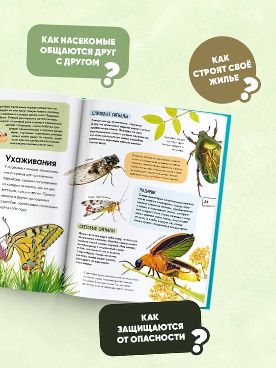 Дополнительное изображение книги «Насекомые»