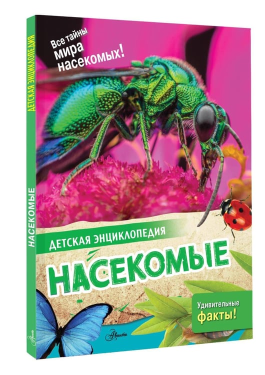 Дополнительное изображение книги «Насекомые»