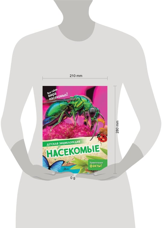 Дополнительное изображение книги «Насекомые»