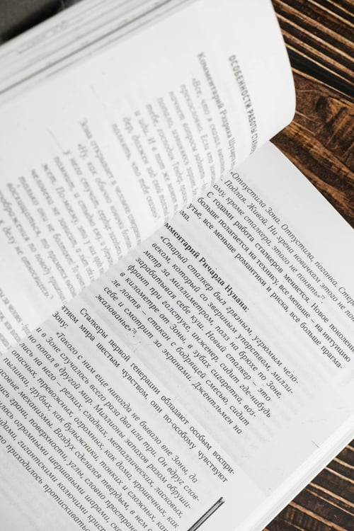 Дополнительное изображение книги «"Пикник на обочине" Братьев Стругацких»