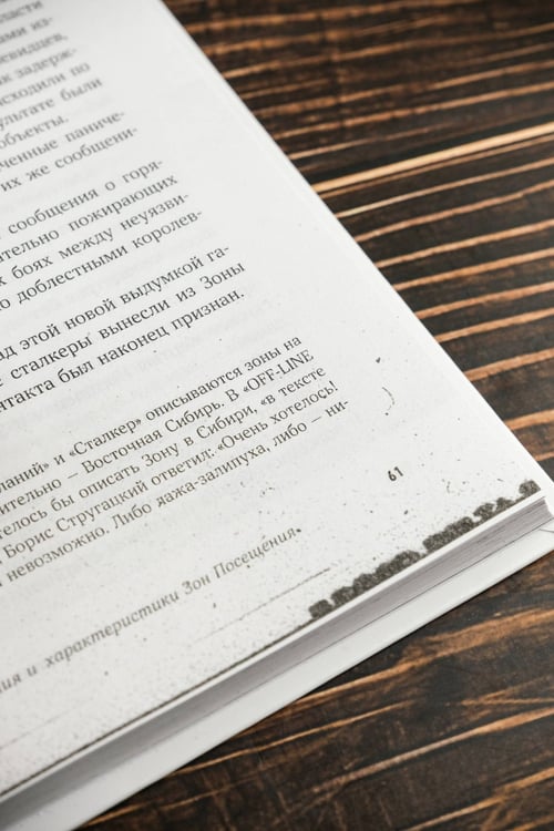 Дополнительное изображение книги «"Пикник на обочине" Братьев Стругацких»