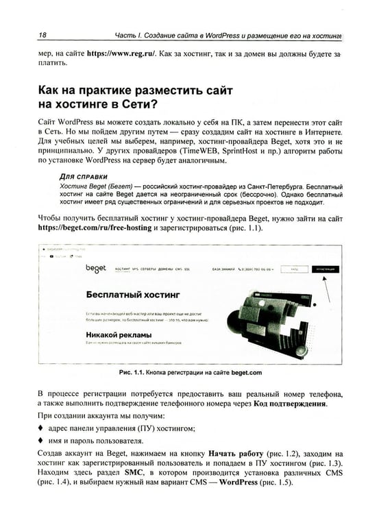 Дополнительное изображение книги «Создание сайта, его SEO-продвижение и монетизация. Самоучитель.»