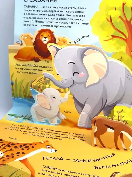 Дополнительное изображение книги «Почемучка: набор из 6 кн»