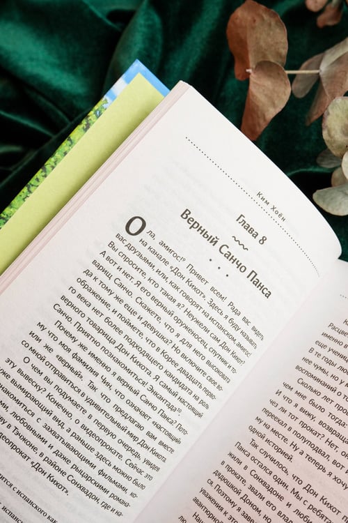 Дополнительное изображение книги «Видеопрокат «Дон Кихот»»