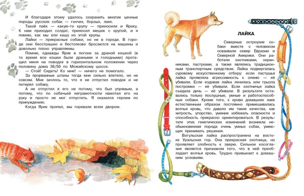 Дополнительное изображение книги «Как правильно любить собак. Рассказы»