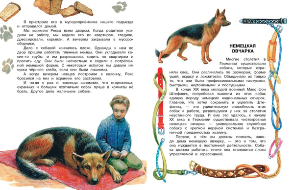 Дополнительное изображение книги «Как правильно любить собак. Рассказы»