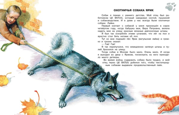 Дополнительное изображение книги «Как правильно любить собак. Рассказы»