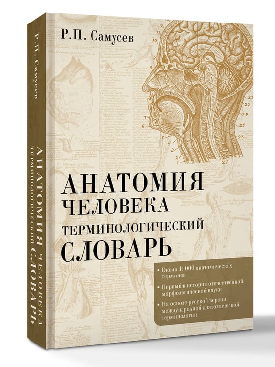 Дополнительное изображение книги «Анатомия человека.Терминологический словарь»