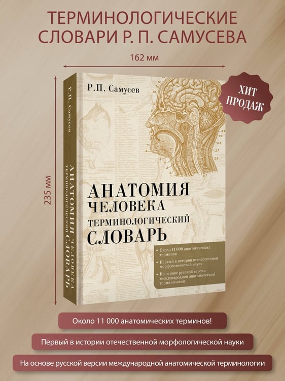 Дополнительное изображение книги «Анатомия человека.Терминологический словарь»